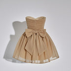 Harmoni Mini Dress
